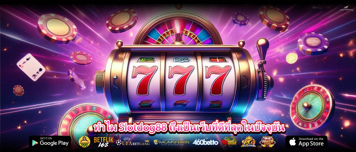 ทำไม Slotdog88 ถึงเป็นเว็บที่ดีที่สุดในปัจจุบัน